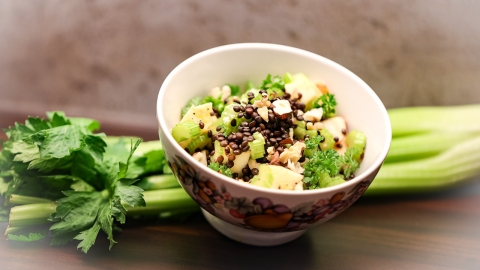 Staudensellerie-Linsen-Salat Schüssel mit fertigem Salat aus mit frischen Staudensellerie-Stangen, Äpfeln, Nüssen, Linsen und Honig-Limetten-Dressing
